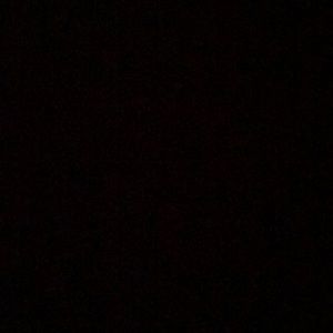 Meet your Posher, Shaunee